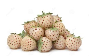 pile-fresh-pineberries-white-background-31540954