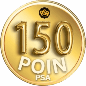 Project Sairaakira-poinpsa 150