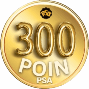 Project Sairaakira-poinpsa 300