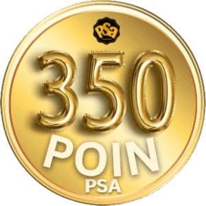 Project Sairaakira-poinpsa 350