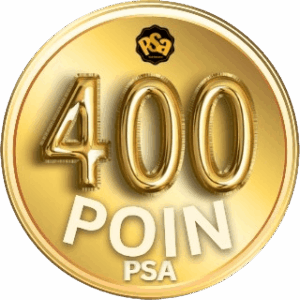 Project Sairaakira-poinpsa 400