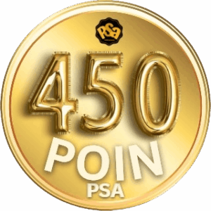 Project Sairaakira-poinpsa 450