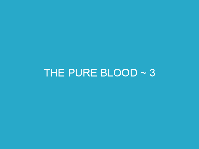 THE PURE BLOOD ~ 3