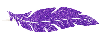 feather-purple_7b01cdde-a830-4a81-aef9-10907eb0d6c3_1000x-removebg-preview