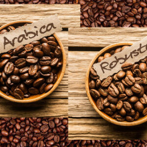 arabica_coffee_robusta_coffee_480x480