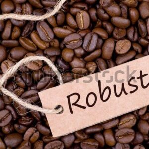 fresh-coffeebeans-robusta-600w-122113789
