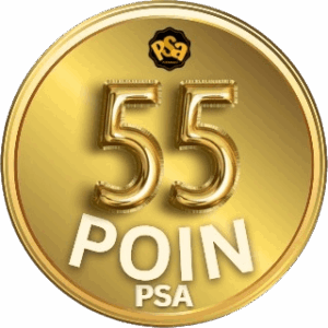 Project Sairaakira-poinpsa 55